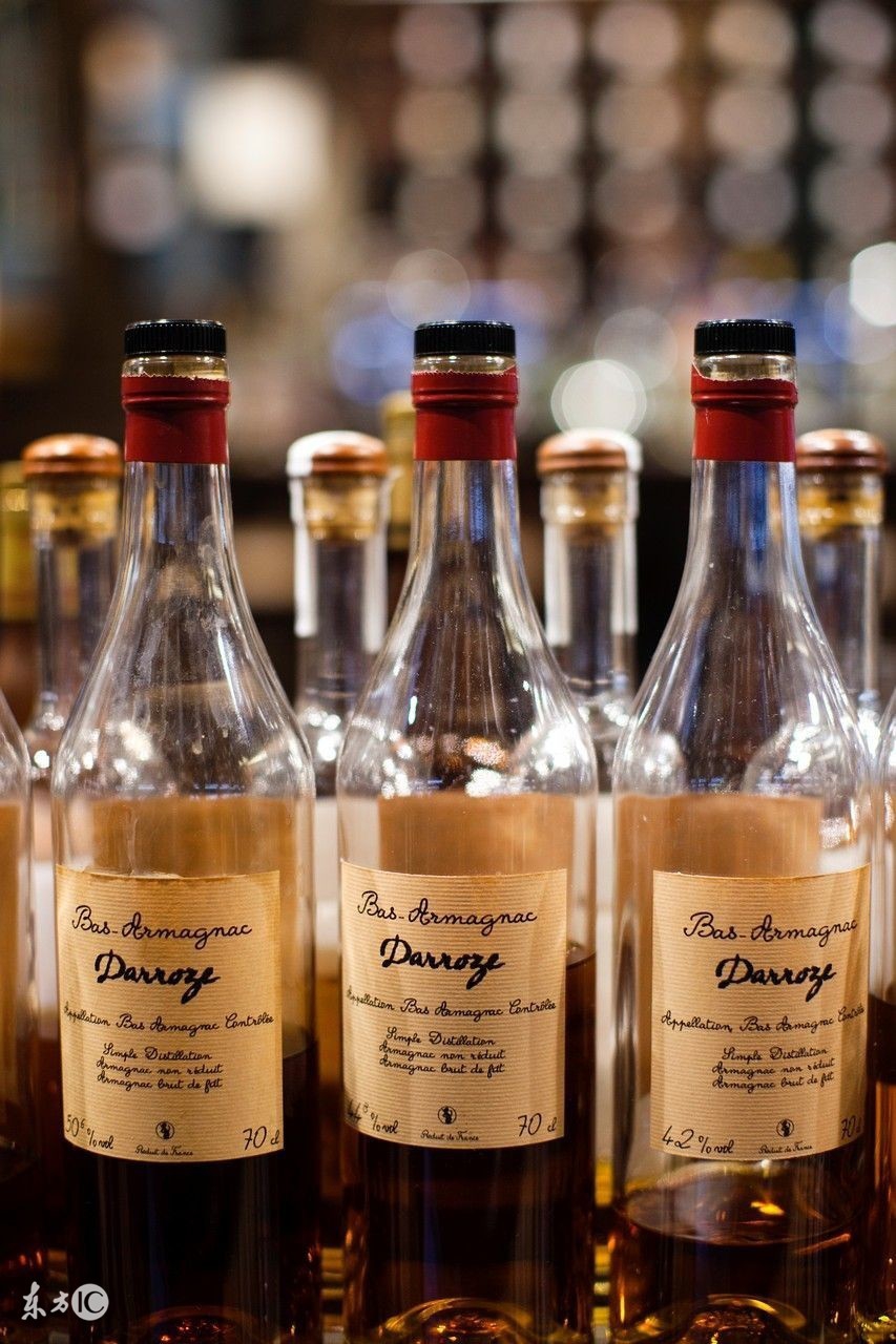 如何看懂葡萄酒的酒标,法国葡萄酒最全入门指南