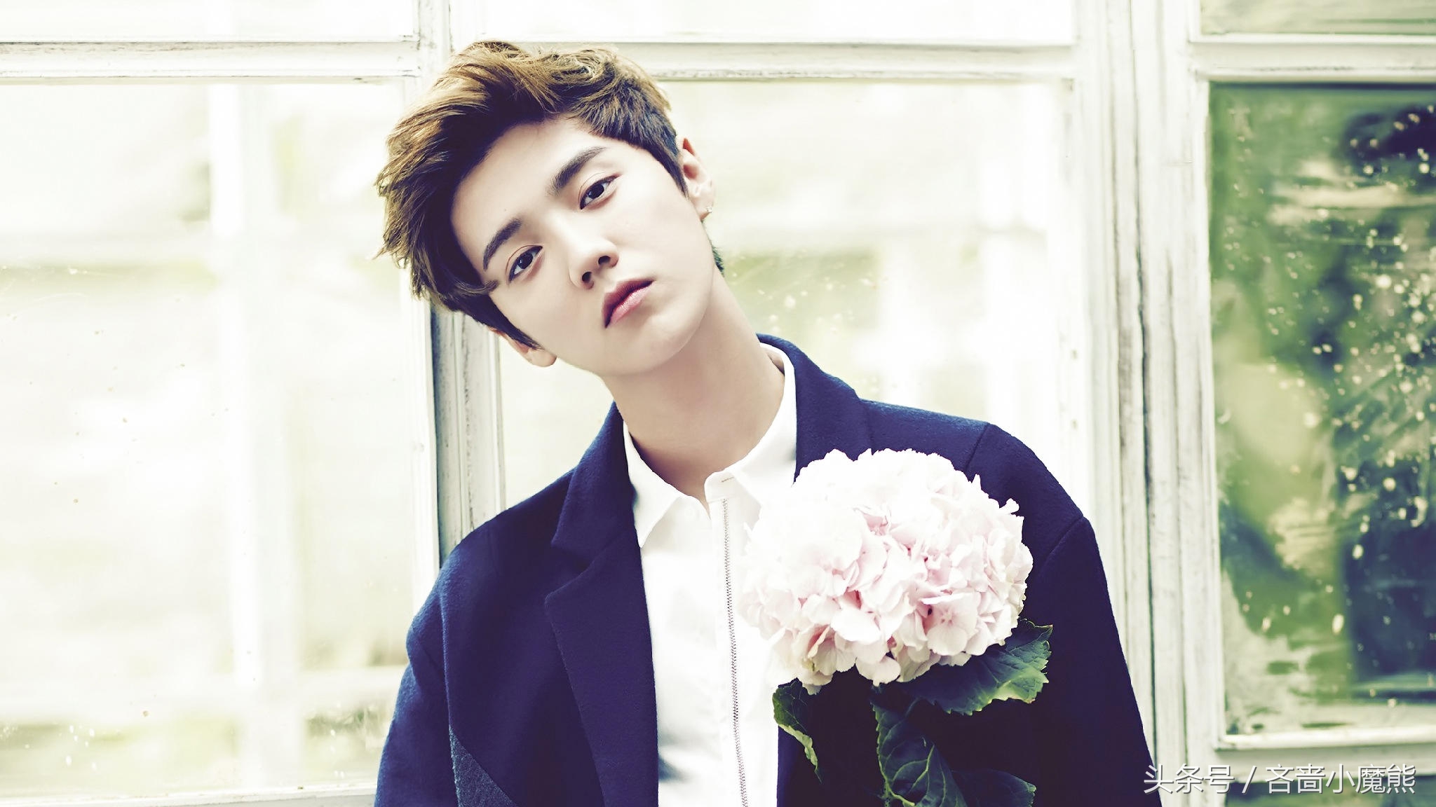 安利六本小说,安利六本完结的古穿今小说