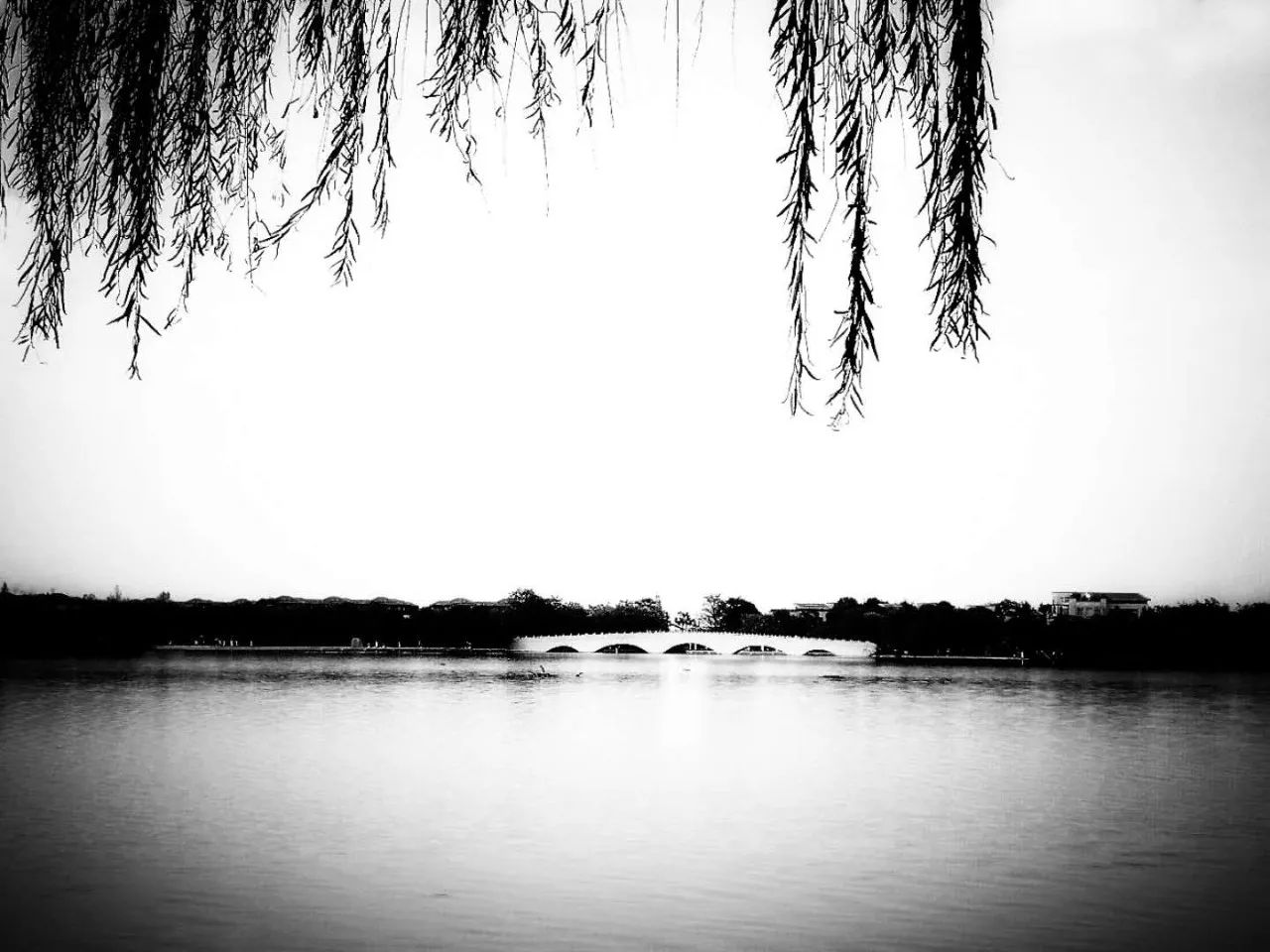 手机摄影作品赏析,手机摄影作品也可以美不胜收