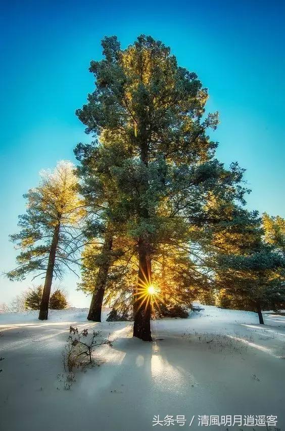 独钓寒江雪，风雪夜归人，200句经典冬天诗句