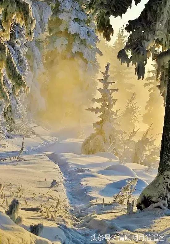 独钓寒江雪，风雪夜归人，200句经典冬天诗句