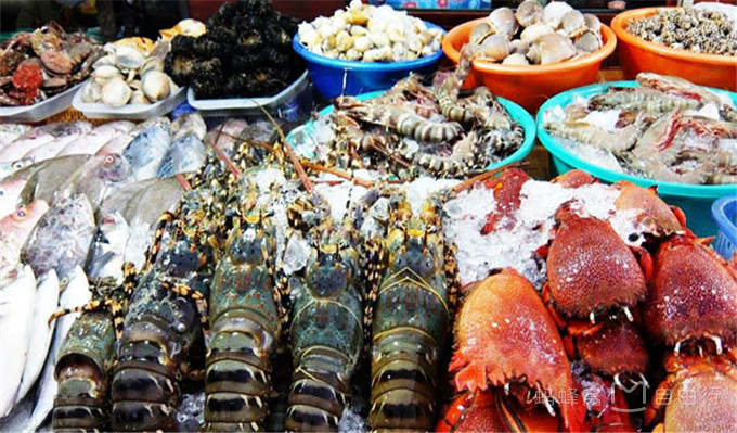 干货超实用又小众的富国岛攻略,富国岛胡吃海喝攻略