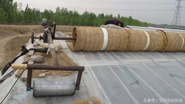 大棚卷帘机伤人事故,大棚卷帘机都有哪些