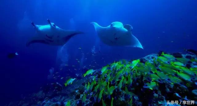 马尔代夫选岛一价全包,马尔代夫维拉私人岛一价全包