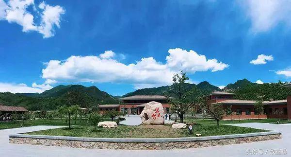 过去一周，这些致富锦囊请拿走不谢！