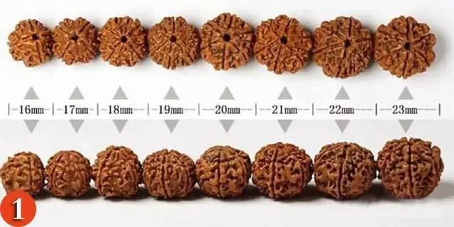 金刚菩提怎么分辨是不是落地红,金刚菩提吊坠识别真假