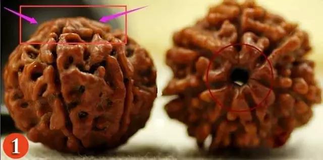 金刚菩提怎么分辨是不是落地红,金刚菩提吊坠识别真假