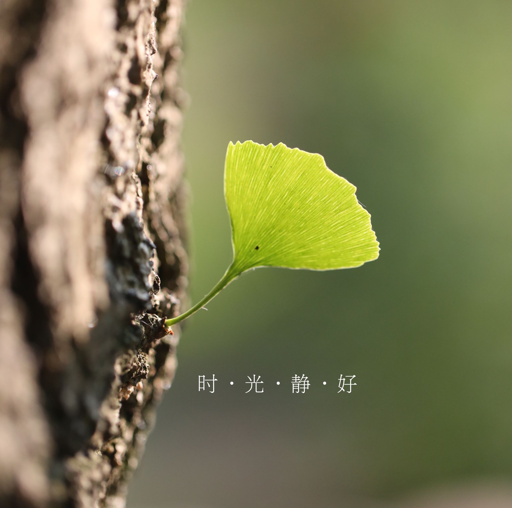 微信朋友圈相册图片封面简单干净,朋友圈20张图片拼图