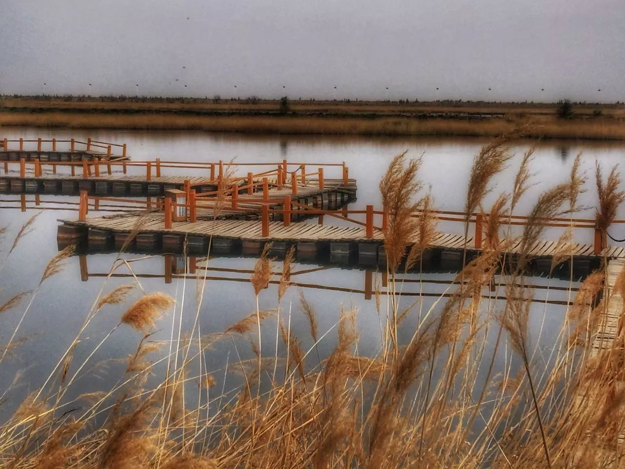 手机摄影作品赏析,手机摄影作品也可以美不胜收