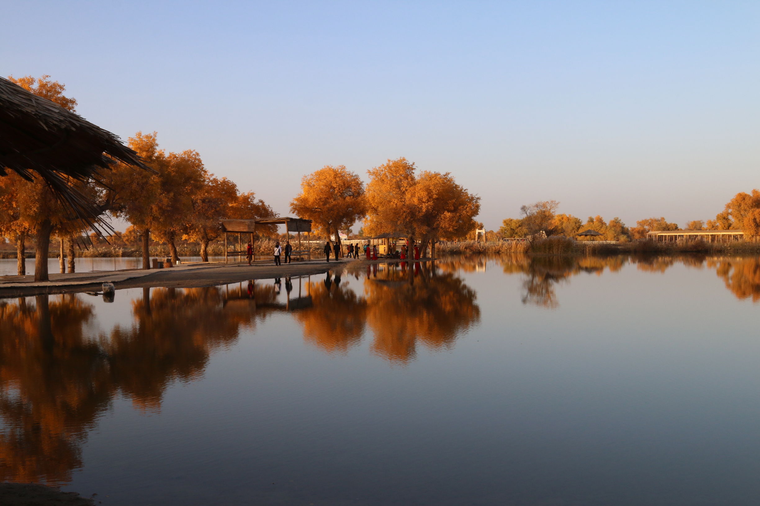 肩肘外科巧用新技术成功为胸锁关节脱位者行手术治疗