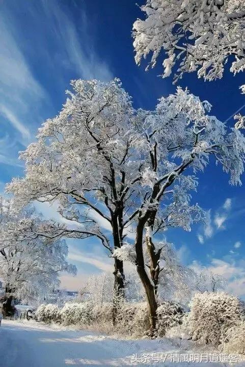 独钓寒江雪，风雪夜归人，200句经典冬天诗句