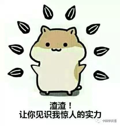 新概念英语2全解,新概念英语2手写