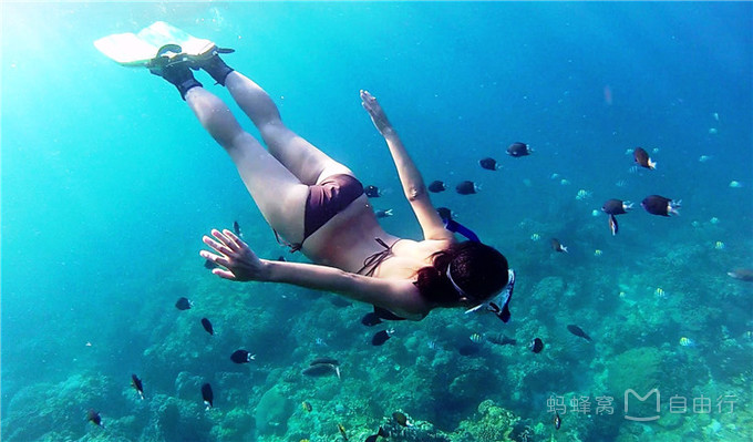 干货超实用又小众的富国岛攻略,富国岛胡吃海喝攻略