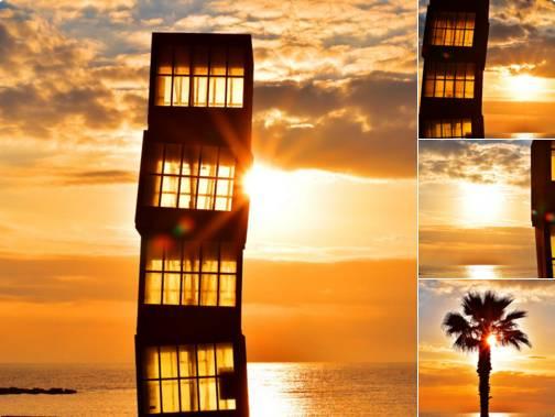 困扰他几十年的哮喘和过敏杂症，在他纯素饮食后彻底消失！