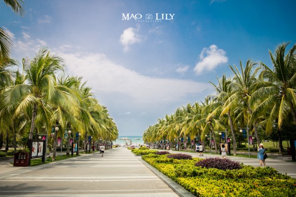 有独立泳池的度假酒店,这家酒店有12层楼