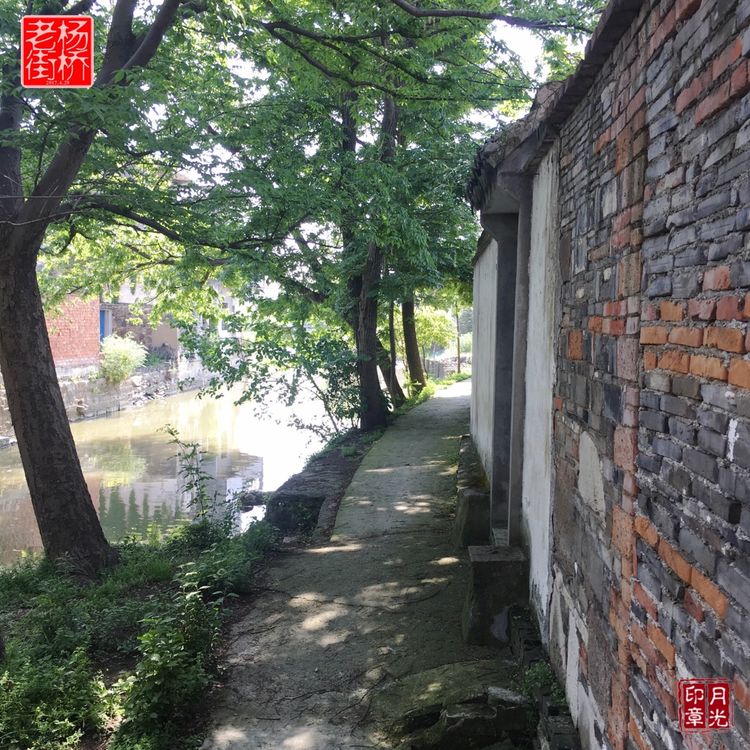 秀丽的江南水乡,这里是一座美丽幽静的江南古镇