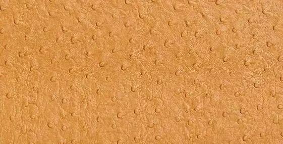 鸵鸟皮衣护理,鸵鸟皮的护理方法和注意事项