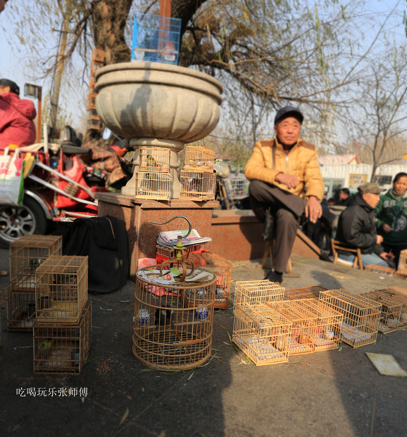 哈尔滨市畜牧交易市场,哈尔滨动物市场