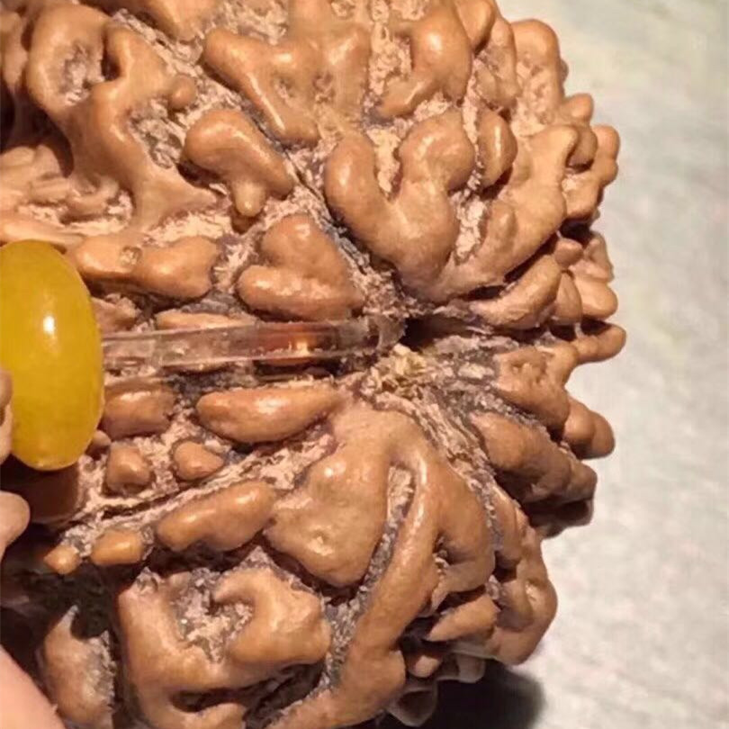 这才是金刚菩提最顶级的玩法,金刚菩提怎么盘玩效率最高