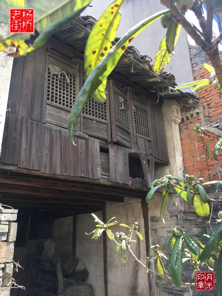 秀丽的江南水乡,这里是一座美丽幽静的江南古镇