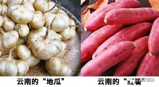 老字号烤红薯店,获嘉京城烤红薯