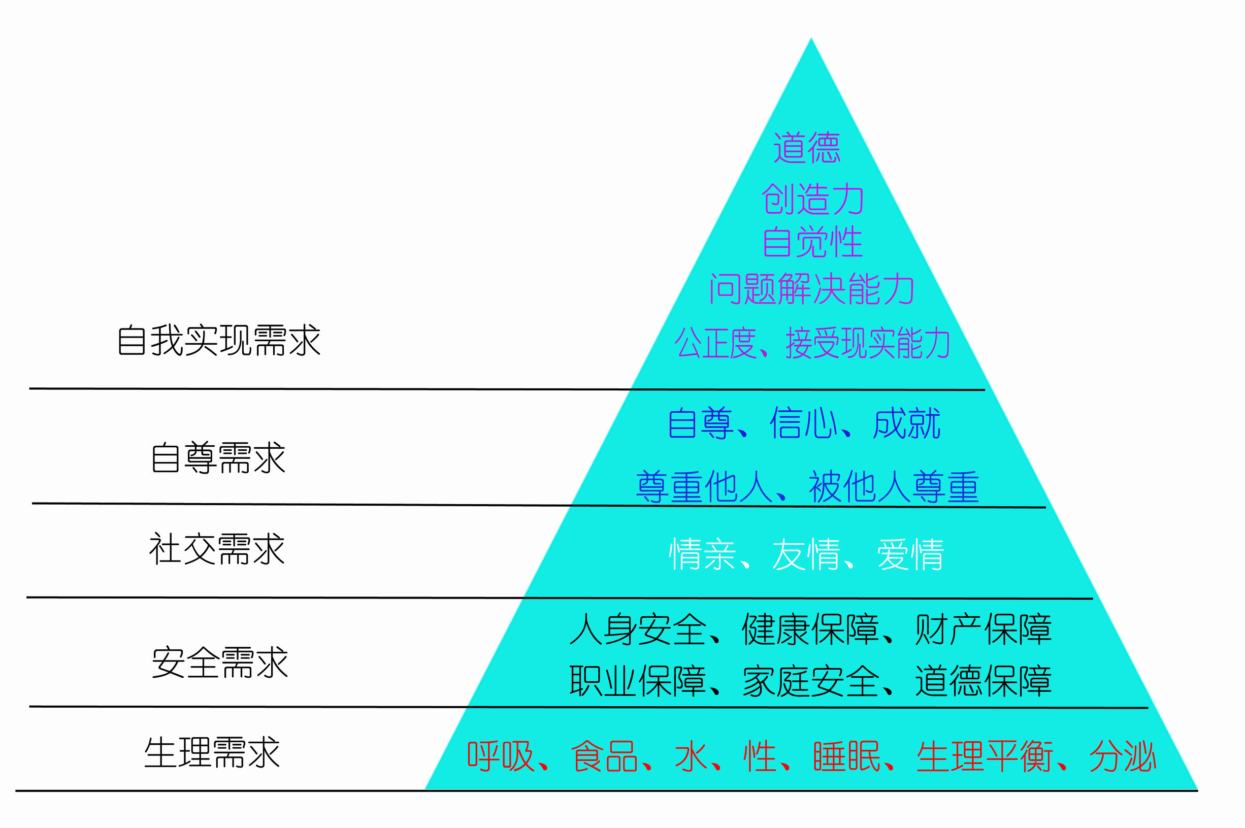 你的一生究竟在忙什么,我们的一生如此短暂