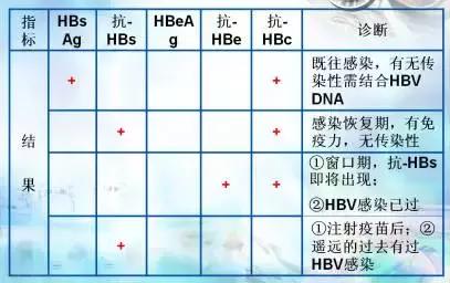 输血查乙肝五项有什么意义,大三阳检查乙肝五项定量意义
