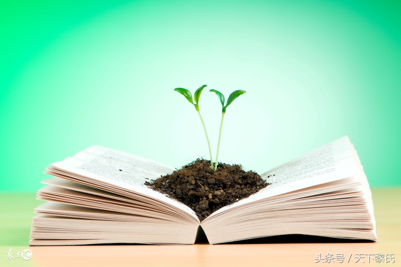 彰显责任和担当的名言警句,责任和担当的名言警句经典句子