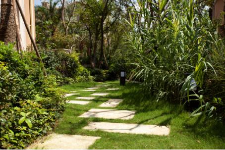 纳帕溪谷景观,汤逊湖东原纳帕溪谷别墅