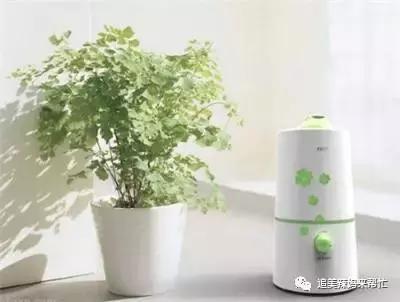 秋季脸上过敏发红发痒怎么办,秋季过敏脸上起疙瘩小妙招