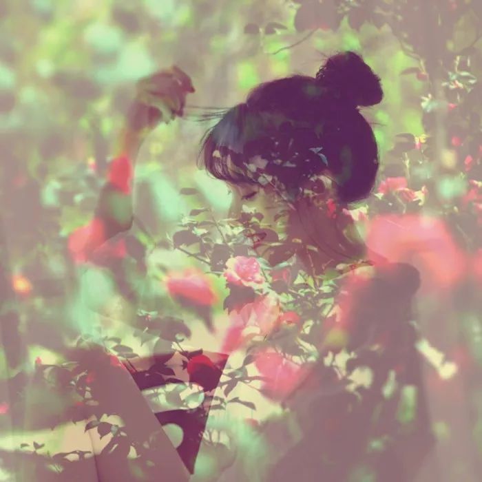 唯美透明头像｜遇见你，我不曾忘却