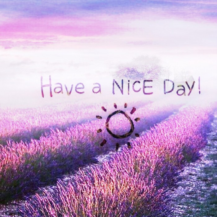 唯美透明头像｜遇见你，我不曾忘却