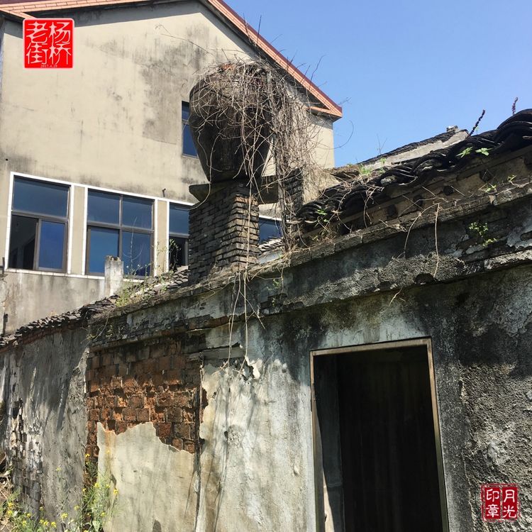 秀丽的江南水乡,这里是一座美丽幽静的江南古镇