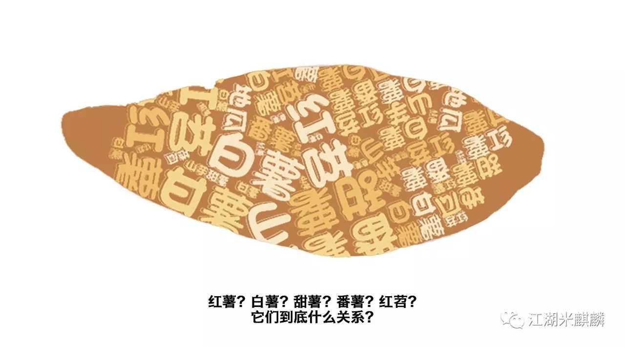 老字号烤红薯店,获嘉京城烤红薯