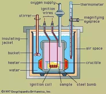 食物热量表减肥必备表,食物热量表减肥必备