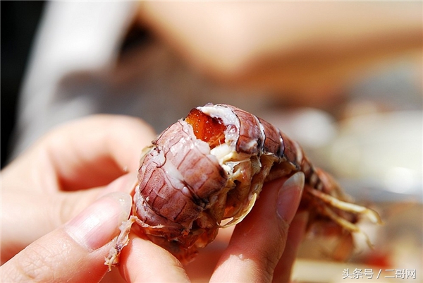 人红是非多，皮皮虾火了，购买陷阱可不少