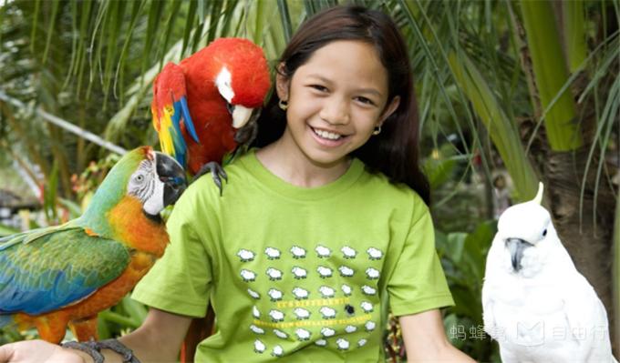 干货超实用又小众的富国岛攻略,富国岛胡吃海喝攻略