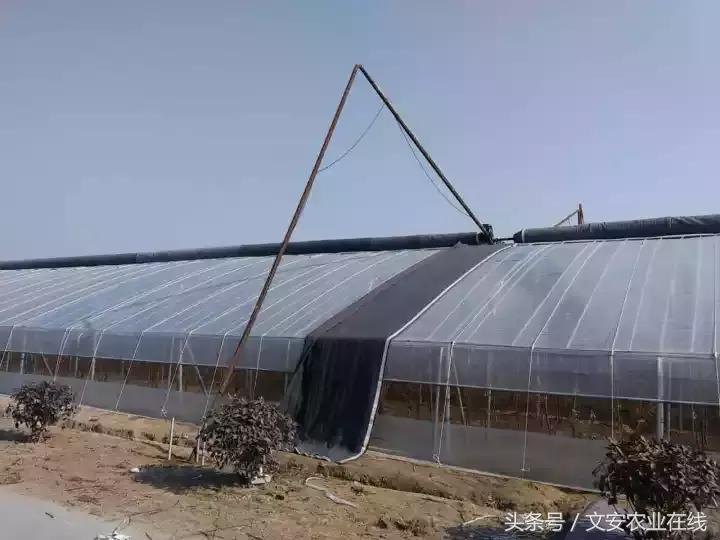 大棚卷帘机伤人事故,大棚卷帘机都有哪些