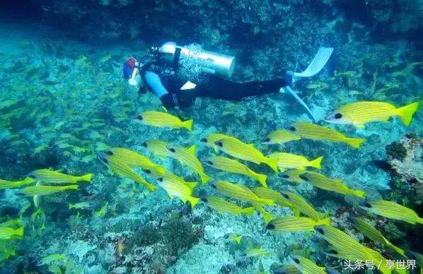 马尔代夫选岛一价全包,马尔代夫维拉私人岛一价全包