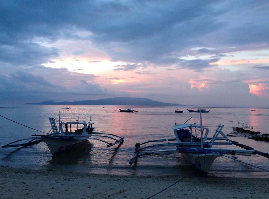 名古屋港水族馆海豚表演,水族馆海豚表演秀有人掉下去了