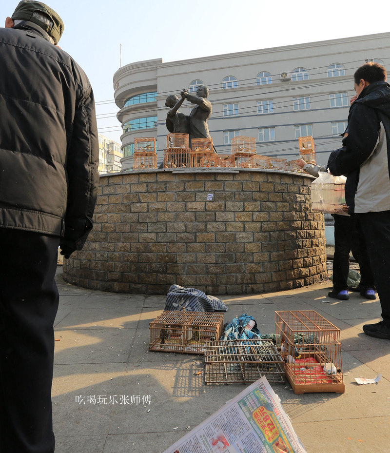 哈尔滨市畜牧交易市场,哈尔滨动物市场