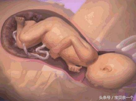 胎宝宝头大身小怎么办,胎宝宝头大的原因有哪些