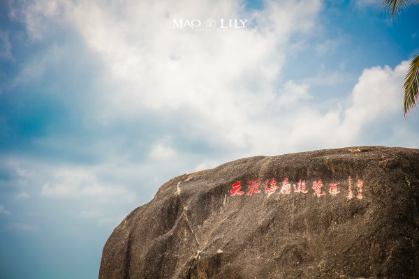 有独立泳池的度假酒店,这家酒店有12层楼