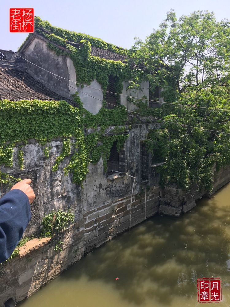 秀丽的江南水乡,这里是一座美丽幽静的江南古镇