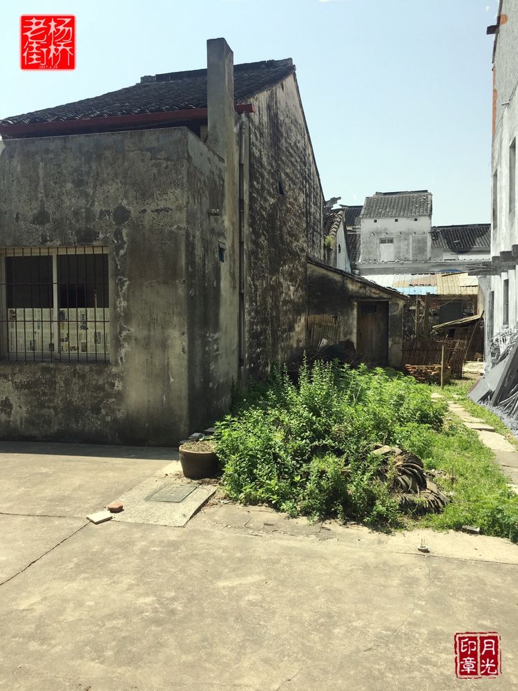 秀丽的江南水乡,这里是一座美丽幽静的江南古镇