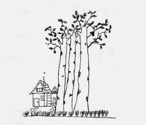 白桦茸——从寄人篱下到上房揭瓦，原来你是这样的菌宝宝