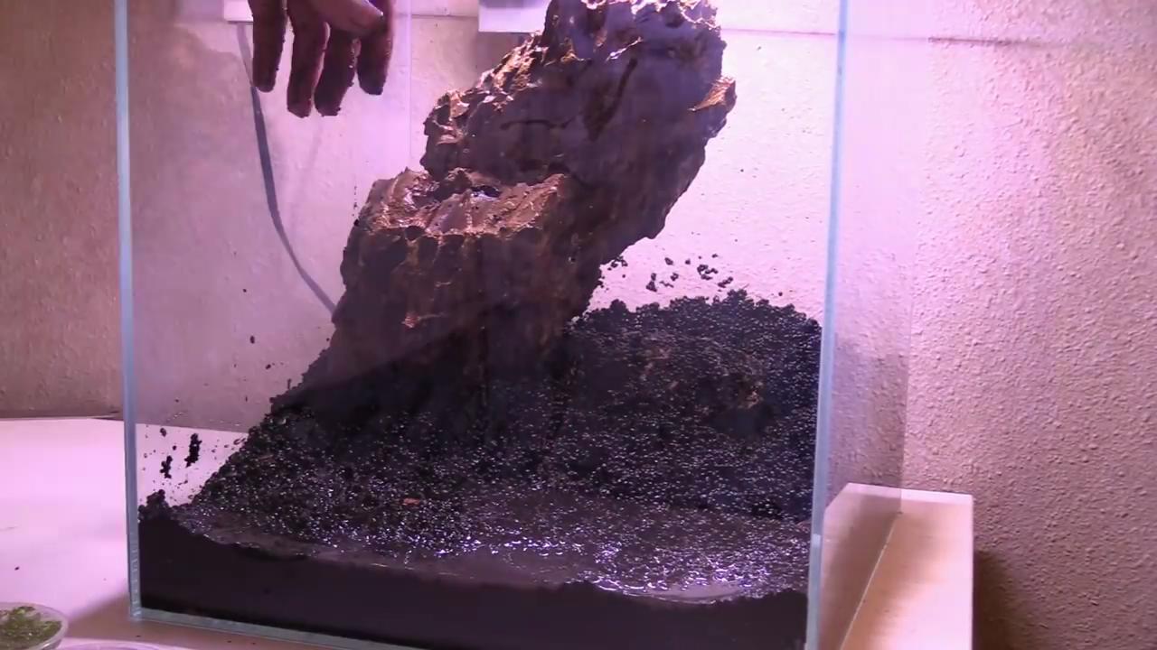 小型鱼缸草缸造景效果图,简单的草缸造景制作