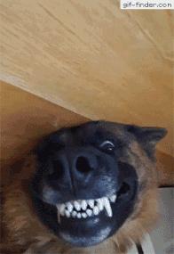 肥唐说:午睡姿势调整不好,医院手术少不了!