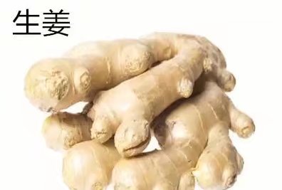 胃反流的偏方,治胃反流的药有哪些