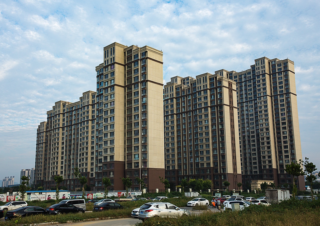 寮犺穬闈欑墿鎽勫奖,寮犺穬鐓х墖